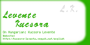 levente kucsora business card